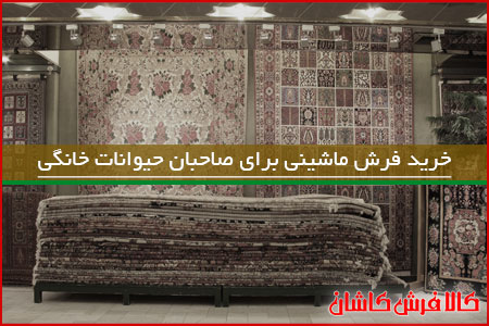 فرش ماشینی برای صاحبان حیوانات خانگی